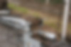 Tuff Belt Earth conveyor